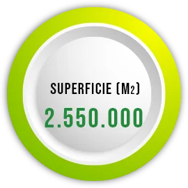 superficie counter progetto